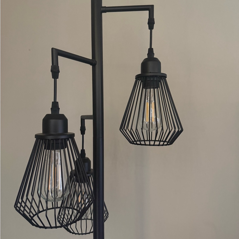 Modern Black Cage Pendant Floor Lamp